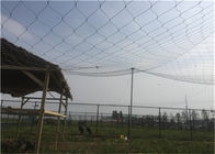 60x105mm High Tensile Black Oxidized Enclosure Fence Stainless Steel Rope Network In Zoo